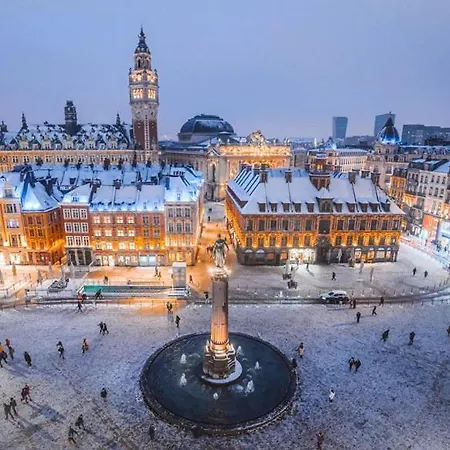 Maison De Charme En Centre Avec Terrasse アパート リール